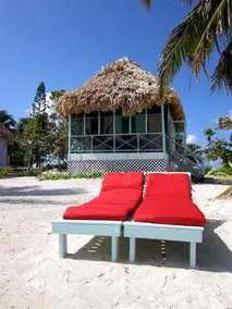 Blackbird Caye Resort - Image 3