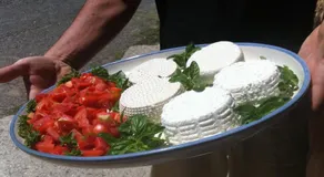 La Fattoria Di Valentina - Image 5