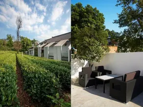 A Myrica Village - Image 5