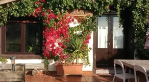 Apartamento, junto al mar - Image 3
