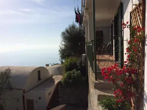 Amalfi Coast Bougainvillea - Image 2