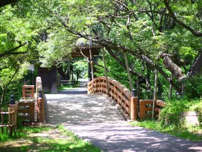 Takato Onsen Takato Sakura Hotel - Image 3