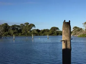 Murray Bridge Caravan Park - Image 5