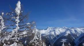 Waldhuesli - Image 3