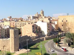 Estudio Cos Del Bou - Image 4