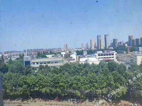 Thank You Intercity Hotel (Junan Leshang Building) - Image 5