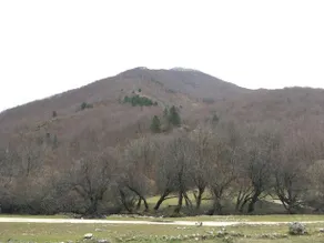 La Fattoria Di Morgana - Image 5