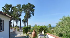 Denise 3 - Image 5