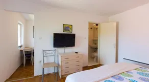 Aloe - Image 3
