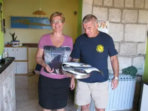 GUEST HOUSE SUCURAJ - Image 3
