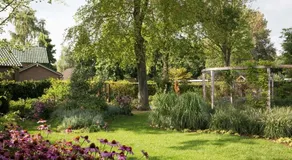 Vakantiehuisje Wenum Wiesel - Image 3