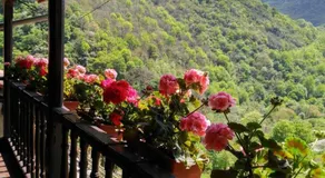 Casa Gelina - Image 5