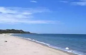 Blue Point - Image 2