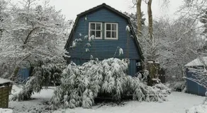 Blaugemacht-Worpswede - Image 2