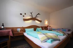 Alpenerlebnis Brennerhof - Image 3