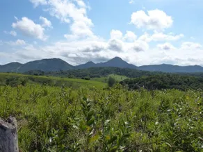 Camp in Brazil - Image 3