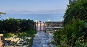 Blue Garden - Image 5