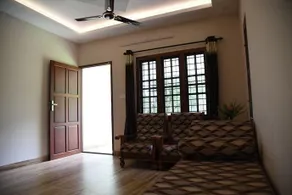 Rain Tree - Image 5