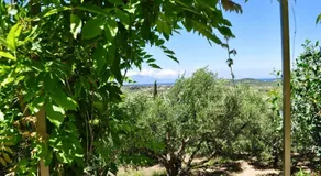 Casa Bella Vita - Image 3