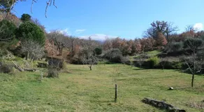 Podere Tepolino - Image 2