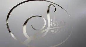 Silver Budget - Image 4
