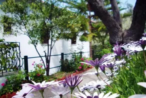 MARGIANOU APARTMENTS - Image 5