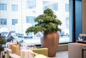 Vienna Hotel ( Jinan Yaoqiang International Airport) - Image 3