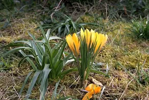 De Bron Heverlee - Image 3