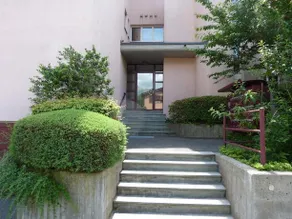 Nosetto - Image 2