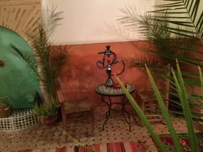 Riad Slima - Image 5