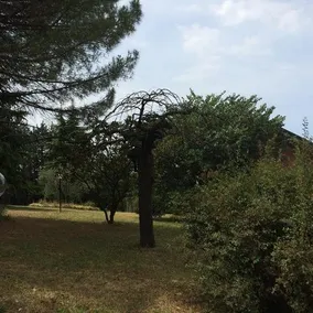 Paradiso di Giulietta - Image 5
