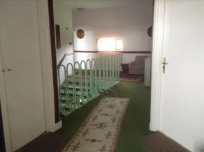 Sos Borhaz Panzio - Image 2