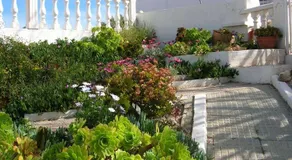 Los Rayos Del Sol - Image 3