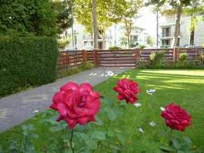 Gasthaus Gibizer - Image 5