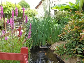 Au Relais De La Lieure - Image 4