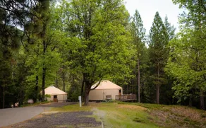 Yosemite Lakes Hillside Yurt 14 - Image 2