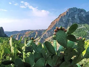 Citta Del Sole - Image 5