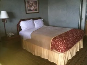 Daynite Inn - Image 4