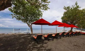Bali Taman Lovina Resort & Spa - Image 2