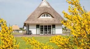Ferienhaus Haubenlerche 14 - Image 5