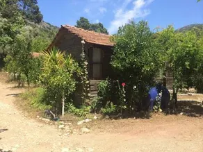 Olympos Baykus Lodge - Image 2