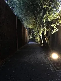 Runaway Rye - Image 2