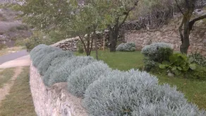 Holiday Home Rudelic - Image 5