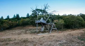 Domaine de Merlac - Image 4