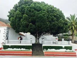 Casa Time - Image 4