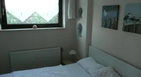 Seestern - Image 4