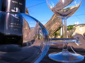 Dror Winery - Image 4