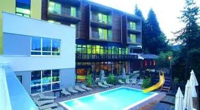 Waldheimathof Almdörfl - Image 2