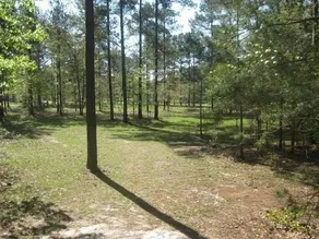 Beaver Run RV Park and Cabins - Image 3