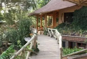 Masai Mara Sopa Lodge - Image 2